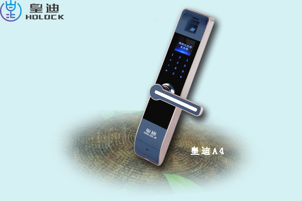 皇迪A4